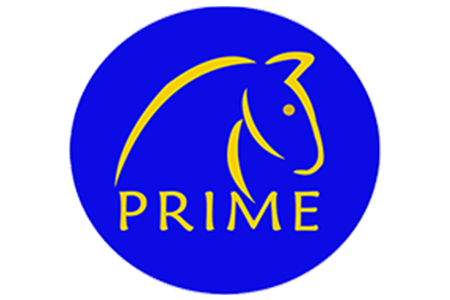 Prime Horse